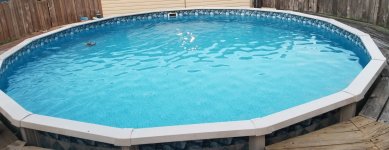 Das Pool 1.jpg