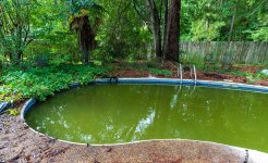 how-to-get-rid-of-algae-in-a-pool-step-1-A.jpg