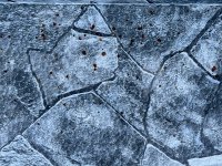 CE357D59-696F-4BC3-A32D-C4F4938EC2D1.jpeg