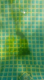 20220620_113425.jpg