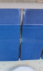 1-cropped growth.jpg