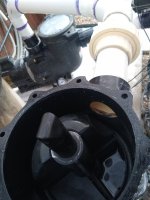 IMG_20220627_065058566.jpg