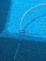 PXL_20220701_201627058.jpg