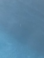 IMG_3356.jpeg