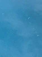 IMG_3355.jpeg