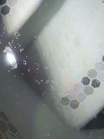 20220618_211635.jpg