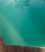 IMG_1146.jpeg