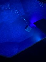 F0184DB6-C174-486D-8186-7365C6F8ECD9.jpeg