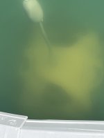 7D831C4D-A224-4FC5-84FD-3A5927A66A3A.jpeg
