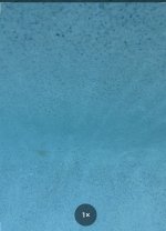 IMG_4787.jpg