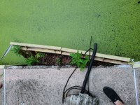 20220722_183101.jpg 20220722_183101.jpg