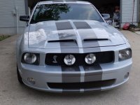 05 Stang.JPG