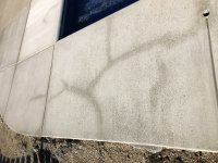 E0569286-F41D-4A74-AB39-4B75C2BFA8BF.jpeg E0569286-F41D-4A74-AB39-4B75C2BFA8BF.jpeg