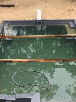 Pool 1.jpg Pool 1.jpg