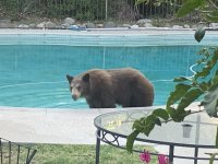 IMG_1110.jpg