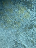 IMG_2329.JPG