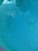 307316A3-AA24-4E16-94C6-079CEF5427F0.jpeg