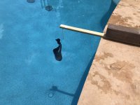 CYA Sock Method.JPEG