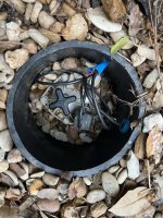Pool-Solenoid2.jpg Pool-Solenoid2.jpg