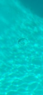 20220830_083236.jpg 20220830_083236.jpg