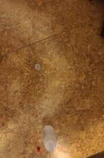 20220906_164457.jpg
