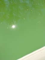 IMG_20220929_130628851.jpg