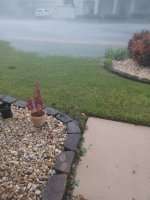 20220929_075542.jpg