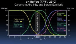 pH_equilibria.jpg