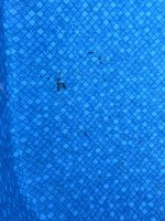 IMG-4224.jpg