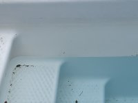 93987342-F5FA-4A3F-BC79-9437DFB19F5C.jpeg