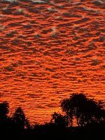 510FA4FE-52A9-45C0-99AB-257EA716A27B.jpeg