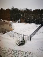 snow covered pool 2022.jpg