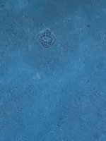 D69F362C-4277-41EA-98DB-8CE2A0D69F7E.jpeg D69F362C-4277-41EA-98DB-8CE2A0D69F7E.jpeg