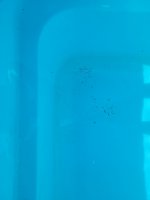 20221230_164701.jpg 20221230_164701.jpg