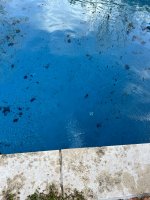 IMG_2602.jpeg IMG_2602.jpeg