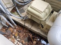 Larger Working Pump.jpg