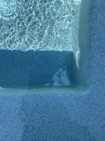 A45DF77F-C18D-455F-AC76-7C46CFEFB9A7.jpeg