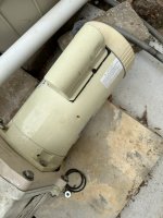 IMG_1945.jpeg