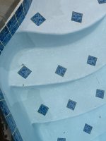 IMG_2010.jpeg
