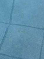 IMG_2494.jpeg