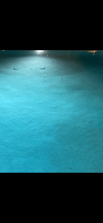 IMG_9808.PNG