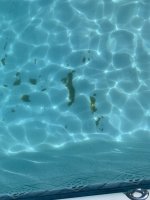 IMG_0359.jpeg