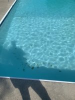 IMG_0360.jpeg