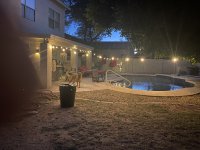 IMG_2126.jpeg