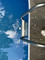 IMG_7598.jpeg