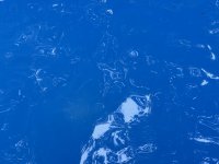 IMG_7690.jpeg
