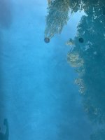 IMG_7806.jpeg