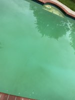 IMG_2787.jpeg
