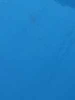 IMG_2895.jpeg
