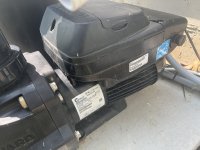 IMG_2425.jpeg